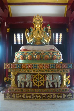 Ấn Độ: Chùm ảnh Trung tâm Viên Giác nơi tu tập lý tưởng