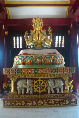 Ấn Độ: Chùm ảnh Trung tâm Viên Giác nơi tu tập lý tưởng