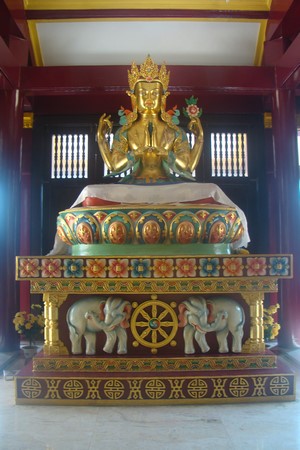 Ấn Độ: Chùm ảnh Trung tâm Viên Giác nơi tu tập lý tưởng