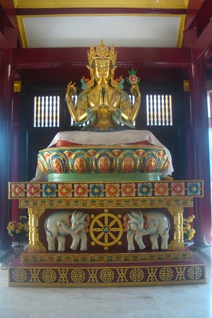 Ấn Độ: Chùm ảnh Trung tâm Viên Giác nơi tu tập lý tưởng