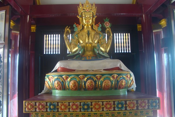 Ấn Độ: Chùm ảnh Trung tâm Viên Giác nơi tu tập lý tưởng