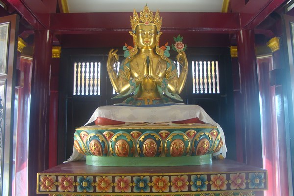 Ấn Độ: Chùm ảnh Trung tâm Viên Giác nơi tu tập lý tưởng