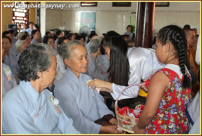 Long An: Bế giảng khóa An Cư Kiết Hạ PL 2559 tại tổ đình Kim Cang