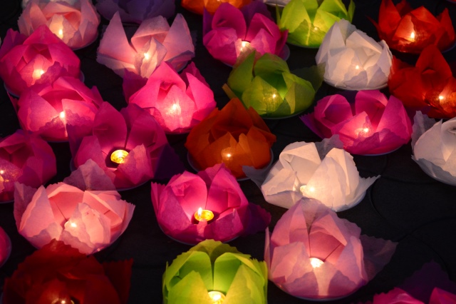 Phái đoàn Phật giáo Việt Nam tham dự Pháp hội Dharamsala 2015
