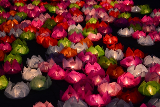 Phái đoàn Phật giáo Việt Nam tham dự Pháp hội Dharamsala 2015