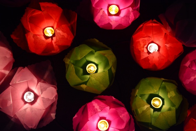 Phái đoàn Phật giáo Việt Nam tham dự Pháp hội Dharamsala 2015