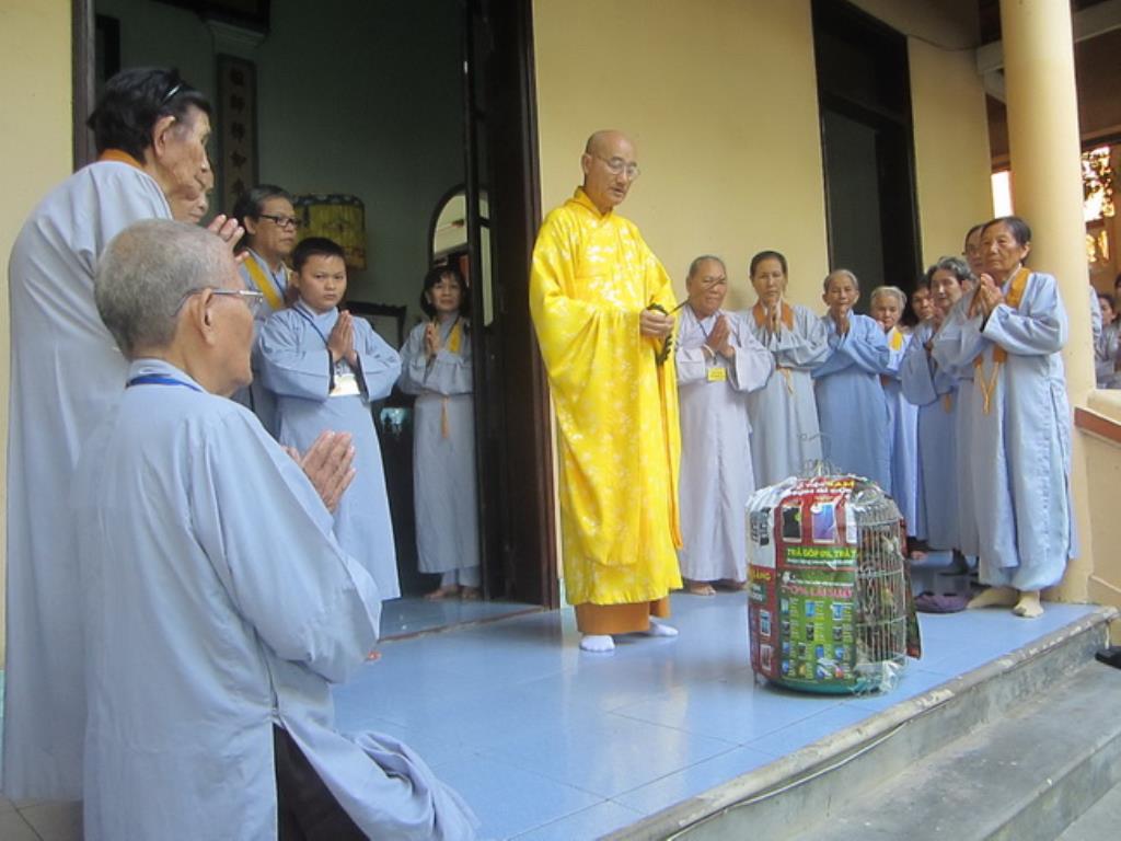 Một ngày tu tập Bát Quan Trai giới tại chùa Đức Hòa