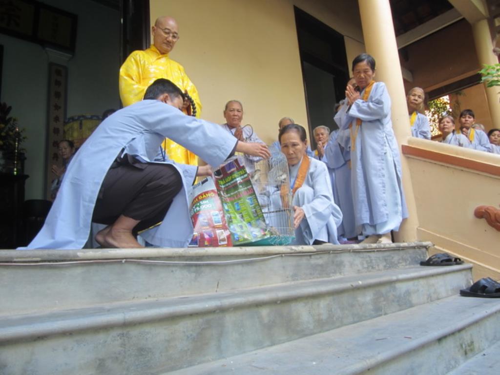 Một ngày tu tập Bát Quan Trai giới tại chùa Đức Hòa