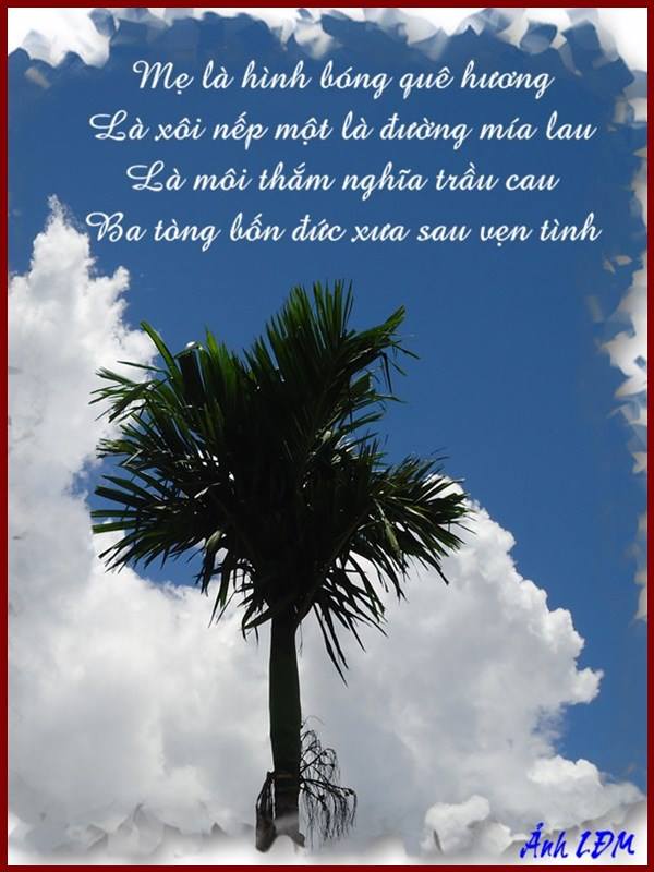 Mẹ Là Quê Hương