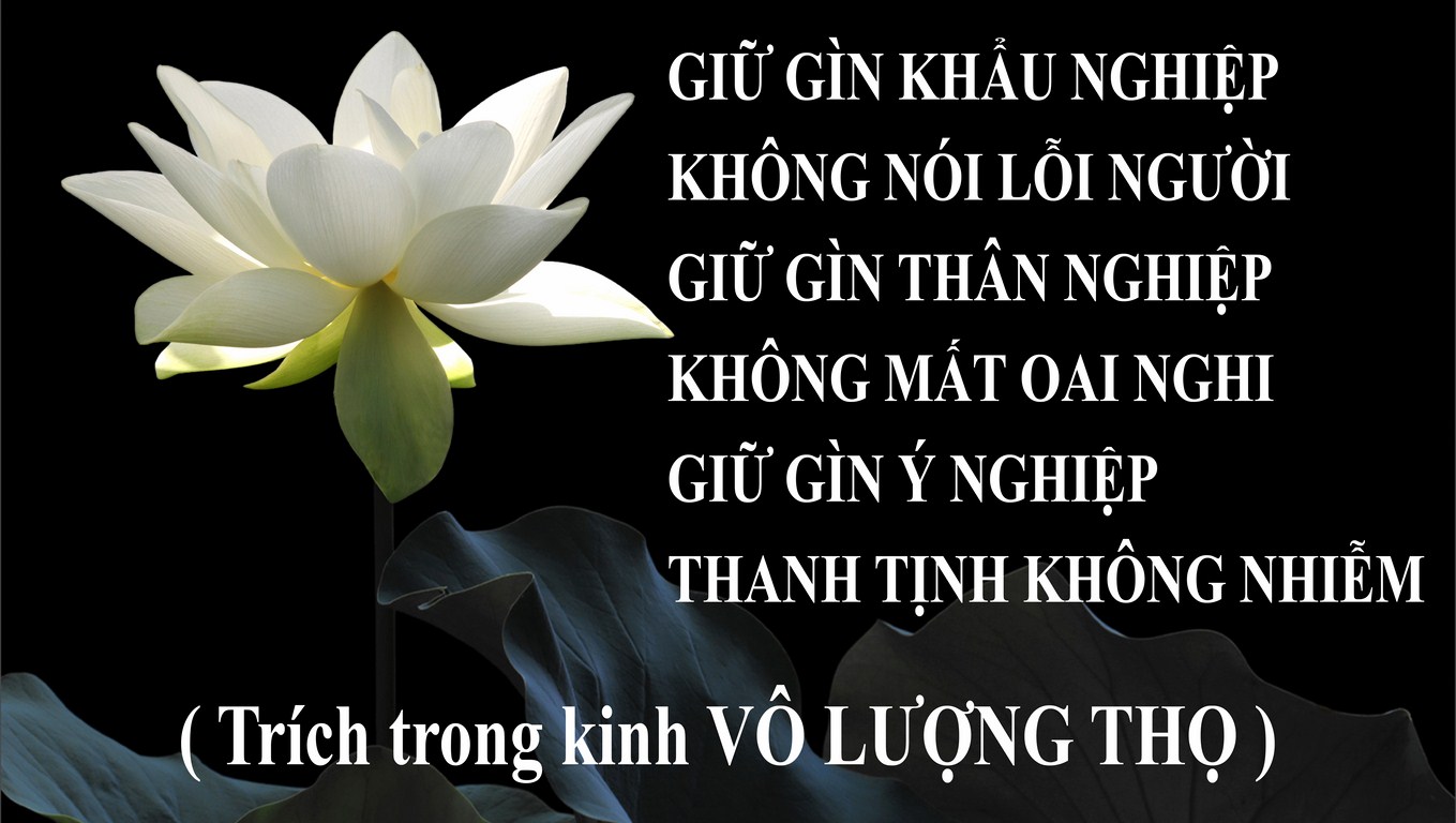 Nếu như