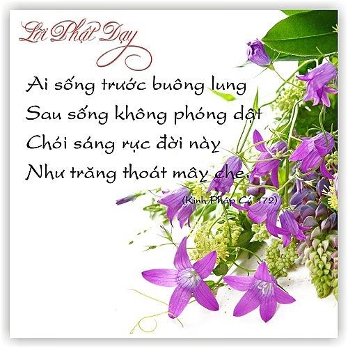 BỐ THÍ THIÊNG LIÊNG VÀ BỐ THÍ PHÀM TỤC  trong Phật giáo Theravada (Don sacré et don profane dans le Theravada) Parawahera Chandaratana