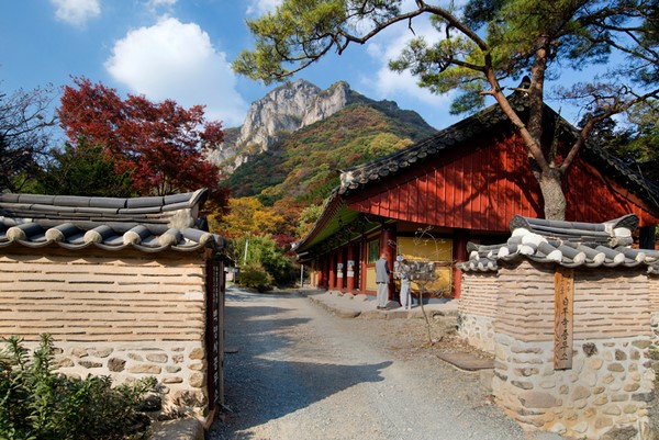 Mùa Thu nét tuyệt đẹp Bạch Dương Cổ Tự Vườn Quốc gia Naejangsan