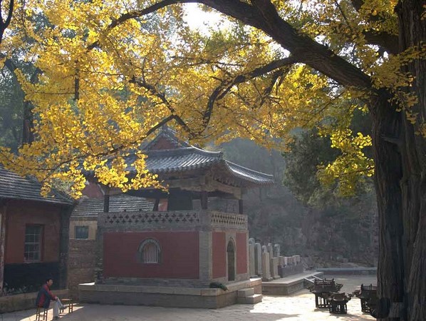 Buổi Giao lưu Hội giảng kinh Phật giáo Trung Quốc 2015