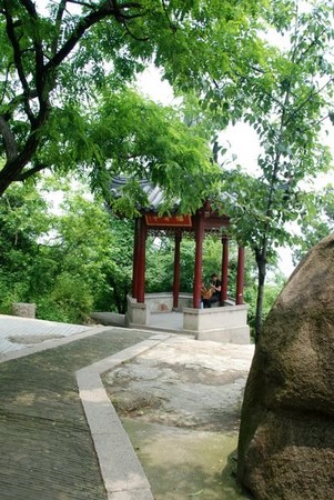 Buổi Giao lưu Hội giảng kinh Phật giáo Trung Quốc 2015
