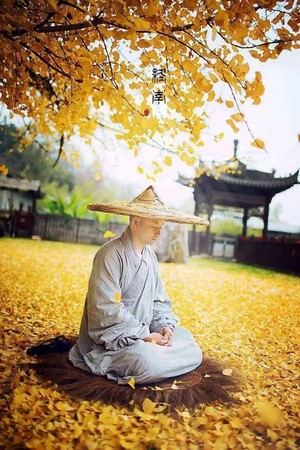 Trung Quốc: Vẻ đẹp mùa Thu Cổ thụ Bạch Quả nghìn năm tuổi tại Quan Âm Thiền Tự