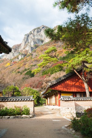 Mùa Thu nét tuyệt đẹp Bạch Dương Cổ Tự Vườn Quốc gia Naejangsan