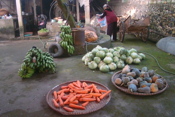 Chuẩn bị Hội thảo thiền phái Tào Động tại Thánh Quang Cổ Tự Hải Dương