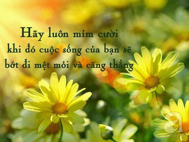 BẤT MÃN NHƯNG PHẢI TÙY DUYÊN