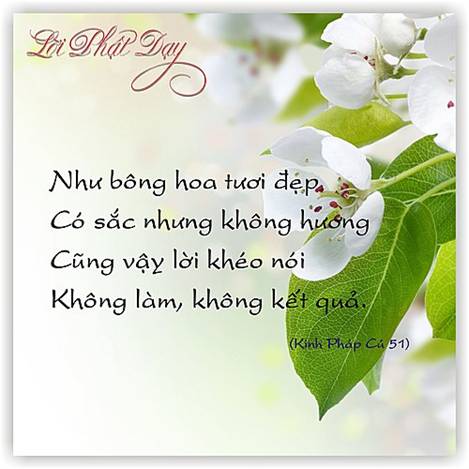 BỐ THÍ THIÊNG LIÊNG VÀ BỐ THÍ PHÀM TỤC  trong Phật giáo Theravada (Don sacré et don profane dans le Theravada) Parawahera Chandaratana