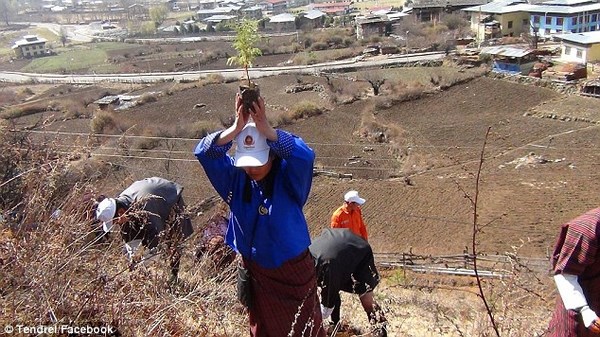 Bhutan: Chúc Phúc Cát tường cho Hoàng tử hạ sinh bằng cách trồng 108.000 cây xanh