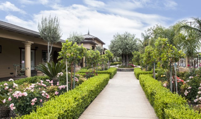 Tết Bính Thân 2016 - Viếng 10 chùa ở Bắc California,Hoa Kỳ
