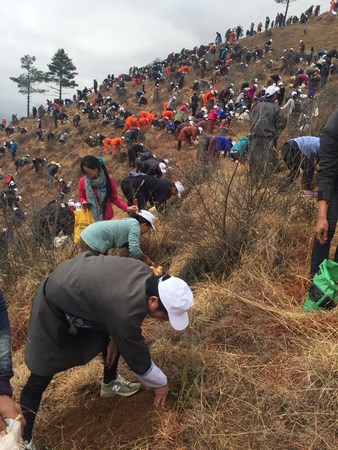 Bhutan: Chúc Phúc Cát tường cho Hoàng tử hạ sinh bằng cách trồng 108.000 cây xanh