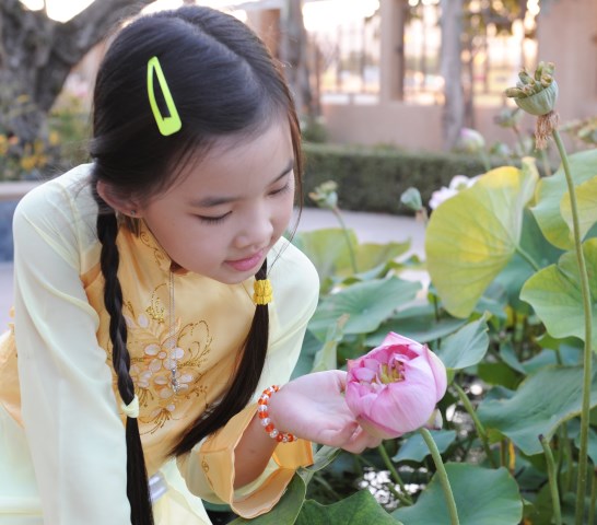 Tết Bính Thân 2016 - Viếng 10 chùa ở Bắc California,Hoa Kỳ