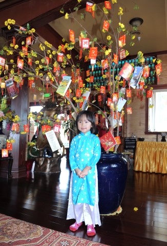 Tết Bính Thân 2016 - Viếng 10 chùa ở Bắc California,Hoa Kỳ