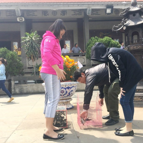 Người dân đi lễ chùa cầu an vào mùng 2 Tết