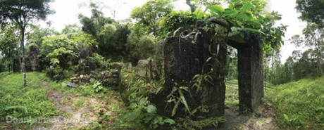 Yên Tử bốn mùa xanh