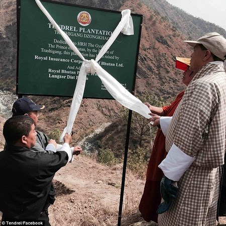 Bhutan: Chúc Phúc Cát tường cho Hoàng tử hạ sinh bằng cách trồng 108.000 cây xanh