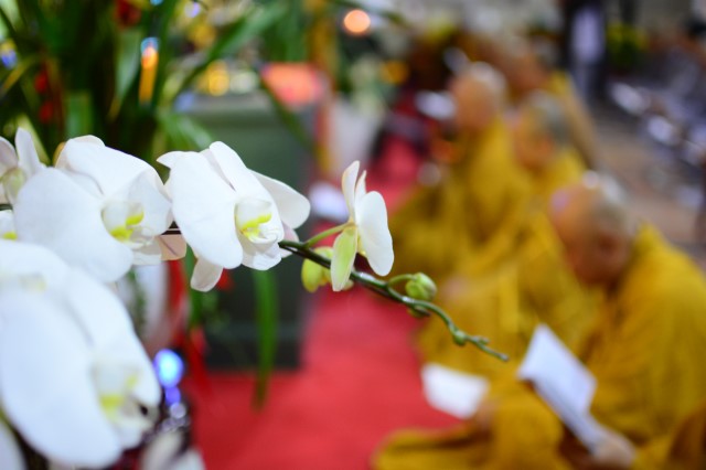 Chùa Giác Ngộ: Lễ đón giao thừa mừng xuân Bính Thân 2016