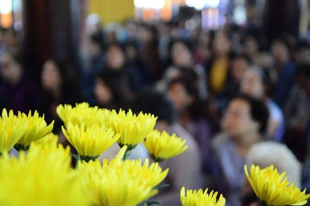 Chùa Giác Ngộ: 1000 Phật tử hành hương thập tự đầu năm Bính Thân 2016