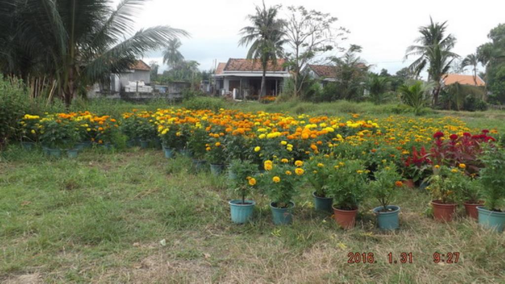 Xót thương nỗi đau mất bố mẹ của ba cháu nhỏ Cường, Quốc, Trang
