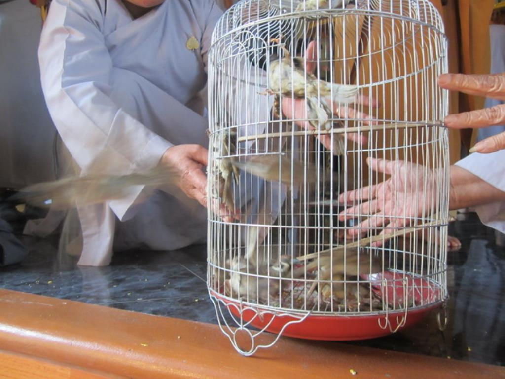 Tổ đình Sắc tứ Thiên Bửu khai khóa Bát quan trai kỳ I năm 2016