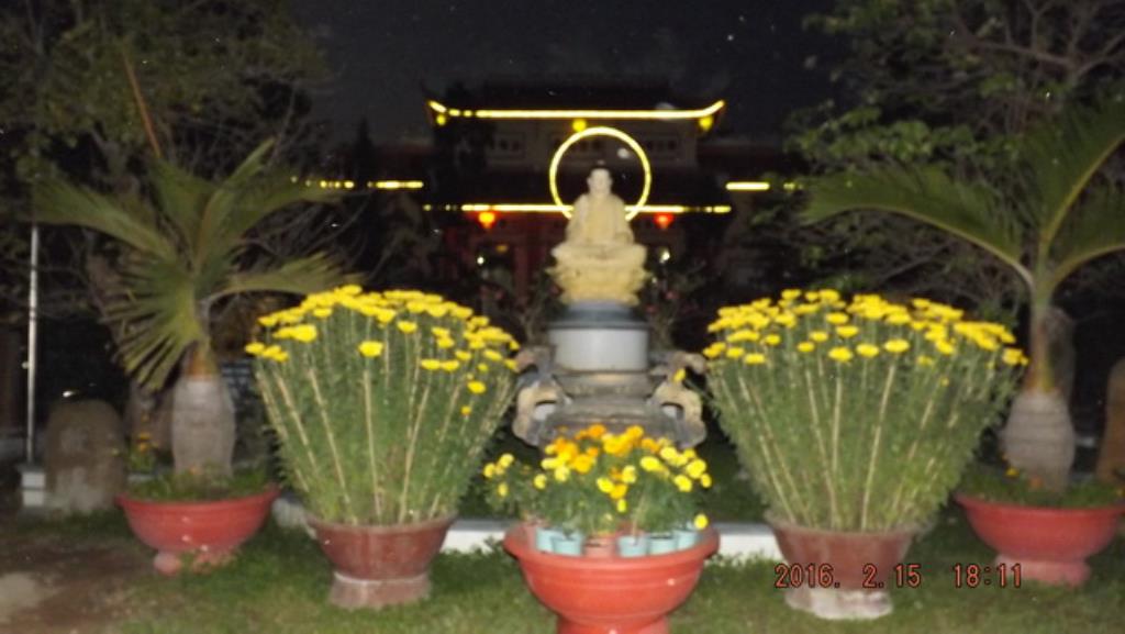 Chùa Đức Hòa, Tổ đình Thiên Bửu, chùa Trường Thọ khai Kinh Dược Sư đầu Xuân Bính Thân