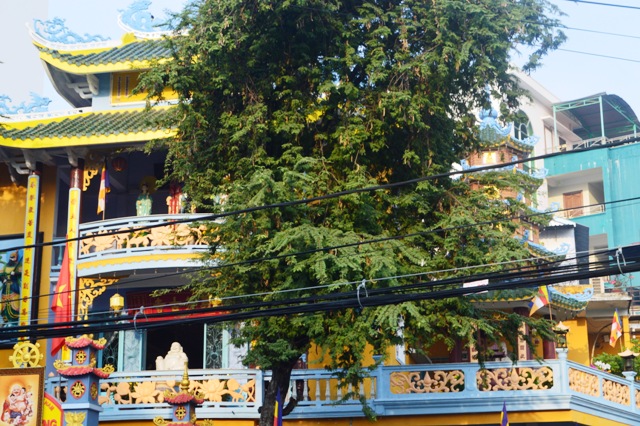 Khánh Hòa: Tông phong tổ đình Nghĩa Phương họp mặt lễ Tổ đầu năm