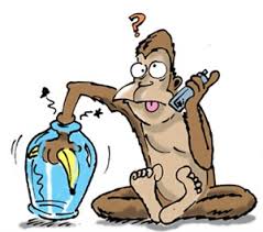 Năm Bính Thân nói chuyện khỉ: Cái Bẫy Khỉ