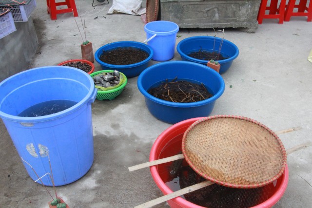 Thái Bình: Chùa Từ Xuyên mừng Đại lễ Phật đản