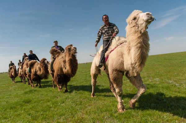 Nga: Đời sống Phật giáo &amp; sự phục hồi truyền thống dân tộc tại Kalmykia