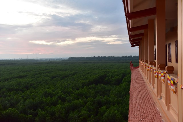 Chùm ảnh: Một ngày tu học tại trường hạ Học viện PGVN tại TP. HCM