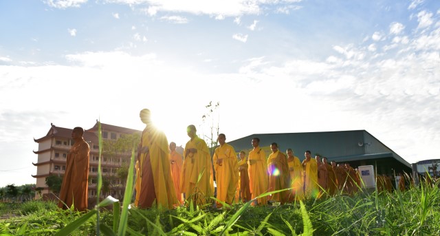 Chùm ảnh: Một ngày tu học tại trường hạ Học viện PGVN tại TP. HCM