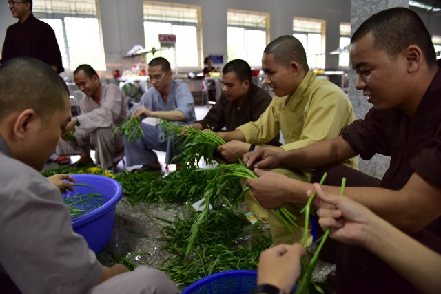 Chùm ảnh: Một ngày tu học tại trường hạ Học viện PGVN tại TP. HCM