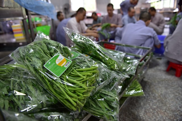 Chùm ảnh: Một ngày tu học tại trường hạ Học viện PGVN tại TP. HCM