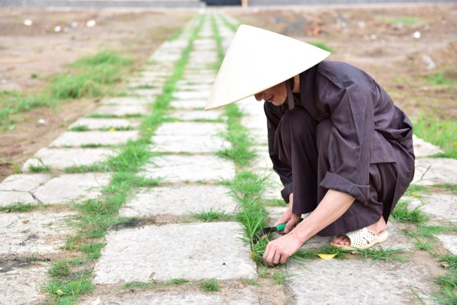 Chùm ảnh: Một ngày tu học tại trường hạ Học viện PGVN tại TP. HCM