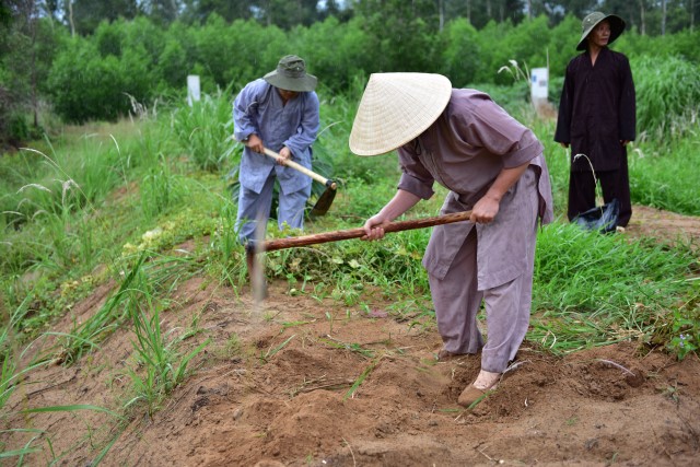 Chùm ảnh: Một ngày tu học tại trường hạ Học viện PGVN tại TP. HCM