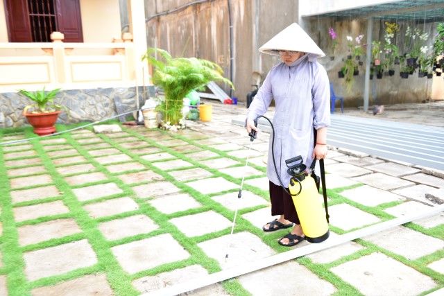 Chùm ảnh: Một ngày tu học tại trường hạ Học viện PGVN tại TP. HCM