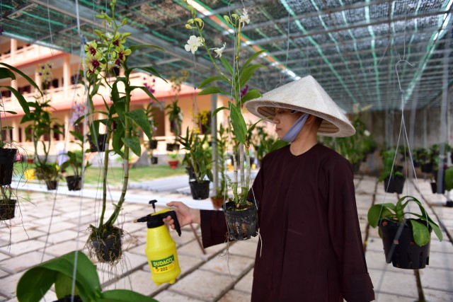 Chùm ảnh: Một ngày tu học tại trường hạ Học viện PGVN tại TP. HCM