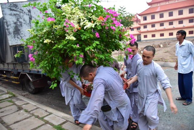 Chùm ảnh: Một ngày tu học tại trường hạ Học viện PGVN tại TP. HCM