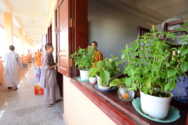 Tăng Ni sinh học viện PGVN tại TP. HCM ngày đầu nhập nội trú